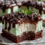 Mint Chocolate Chip Ice